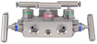 PGI Int'l Five-Valve Manifold